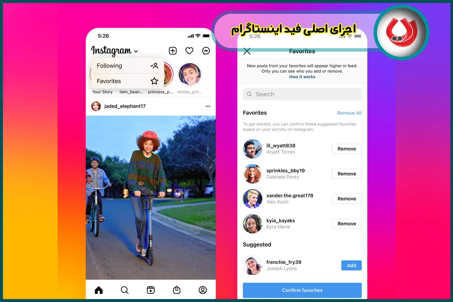 اجزای اصلی فید اینستاگرام