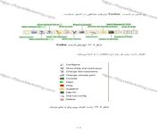 طراحی جلد و صفحه آرایی