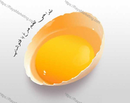 طراحی روتوش عکس