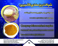 طراحی کاتالوگ